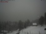 Archiv Foto Webcam Feldberg-Seebuck Raimartihof 13:00