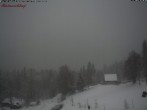 Archiv Foto Webcam Feldberg-Seebuck Raimartihof 15:00