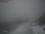 Archived image Webcam Feldberg - Hotel Raimartihof 08:00