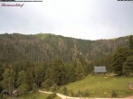 Archiv Foto Webcam Feldberg-Seebuck Raimartihof 07:00