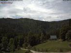 Archiv Foto Webcam Feldberg-Seebuck Raimartihof 11:00