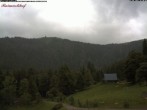 Archiv Foto Webcam Feldberg-Seebuck Raimartihof 15:00