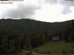 Archived image Webcam Feldberg - Hotel Raimartihof 11:00