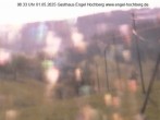 Archived image Webcam Langenordnach Valley 07:00