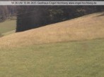Archiv Foto Webcam Langenordnachtal 13:00
