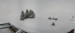 Archived image Webcam Roundshot Grindelwald Bussalp 09:00