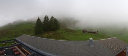 Archived image Webcam Roundshot Grindelwald Bussalp 11:00