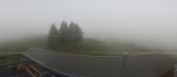 Archiv Foto Webcam Grindelwald: Bussalp Panorama 16:00