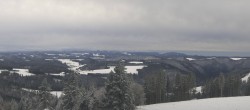 Archiv Foto Webcam Furtwangen - Brendturm 11:00