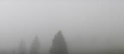 Archiv Foto Webcam Furtwangen - Brendturm 07:00