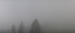 Archiv Foto Webcam Furtwangen - Brendturm 17:00