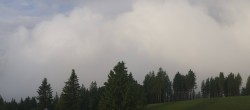 Archived image Webcam Brend Tower in Furtwangen 06:00