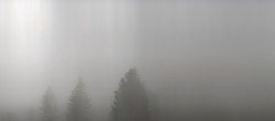Archived image Webcam Brend Tower in Furtwangen 05:00