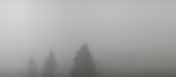 Archived image Webcam Brend Tower in Furtwangen 06:00