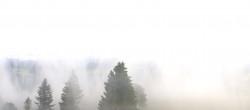 Archived image Webcam Brend Tower in Furtwangen 05:00