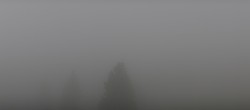 Archived image Webcam Brend Tower in Furtwangen 11:00