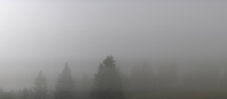 Archived image Webcam Brend Tower in Furtwangen 11:00