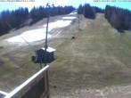 Archiv Foto Webcam Blick ins Skigebiet Poley Mountain 10:00