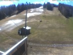 Archiv Foto Webcam Blick ins Skigebiet Poley Mountain 10:00