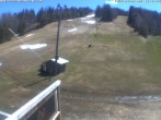 Archiv Foto Webcam Blick ins Skigebiet Poley Mountain 12:00