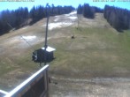 Archiv Foto Webcam Blick ins Skigebiet Poley Mountain 10:00