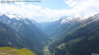 Archived image Webcam Tristner/ Zillertal - Grinberg 08:00