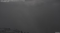 Archived image Webcam Tristner/ Zillertal - Grinberg 23:00