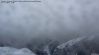 Archived image Webcam Tristner/ Zillertal - Grinberg 07:00