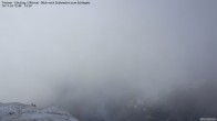 Archived image Webcam Tristner/ Zillertal - Grinberg 11:00