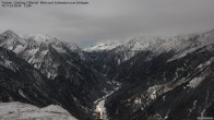 Archived image Webcam Tristner/ Zillertal - Grinberg 19:00