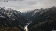 Archived image Webcam Tristner/ Zillertal - Grinberg 19:00