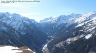 Archiv Foto Webcam Zillertal - Blick zum Grinberg 13:00