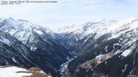 Archived image Webcam Tristner/ Zillertal - Grinberg 09:00