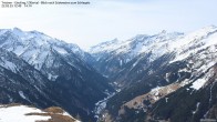 Archived image Webcam Tristner/ Zillertal - Grinberg 11:00