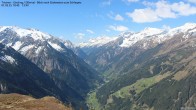 Archived image Webcam Tristner/ Zillertal - Grinberg 09:00