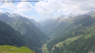 Archiv Foto Webcam Zillertal - Blick zum Grinberg 11:00