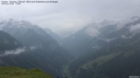 Archived image Webcam Tristner/ Zillertal - Grinberg 11:00