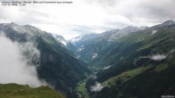 Archived image Webcam Tristner/ Zillertal - Grinberg 17:00