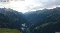 Archived image Webcam Tristner/ Zillertal - Grinberg 19:00