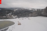 Archiv Foto Webcam Vítkovice Aldrov - Jizerka Snowpark 11:00