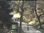 Archiv Foto Webcam Kammloipe: Weitersglashütte - Blick vom Hotel Kranichsee 09:00