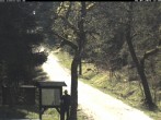 Archived image Webcam Kammloipe: Weitersglashuette - Hotel Kranichsee 11:00