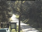 Archived image Webcam Kammloipe: Weitersglashuette - Hotel Kranichsee 13:00