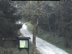 Archived image Webcam Kammloipe: Weitersglashuette - Hotel Kranichsee 15:00