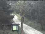 Archived image Webcam Kammloipe: Weitersglashuette - Hotel Kranichsee 17:00