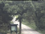 Archived image Webcam Kammloipe: Weitersglashuette - Hotel Kranichsee 11:00