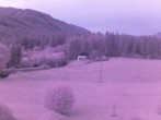 Archiv Foto Webcam Angererhof in Tragöß: Blick nach Süden 03:00