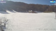 Archived image Webcam Campo Felice - base station chairlift Colle Destro and chalet Innamorati (Italy) 13:00