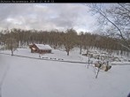 Archiv Foto Webcam Skihütte Pastorenwiese 13:00