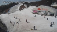 Archiv Foto Webcam Skigebiet Gala Yuzawa - Blick auf die Piste 08:00